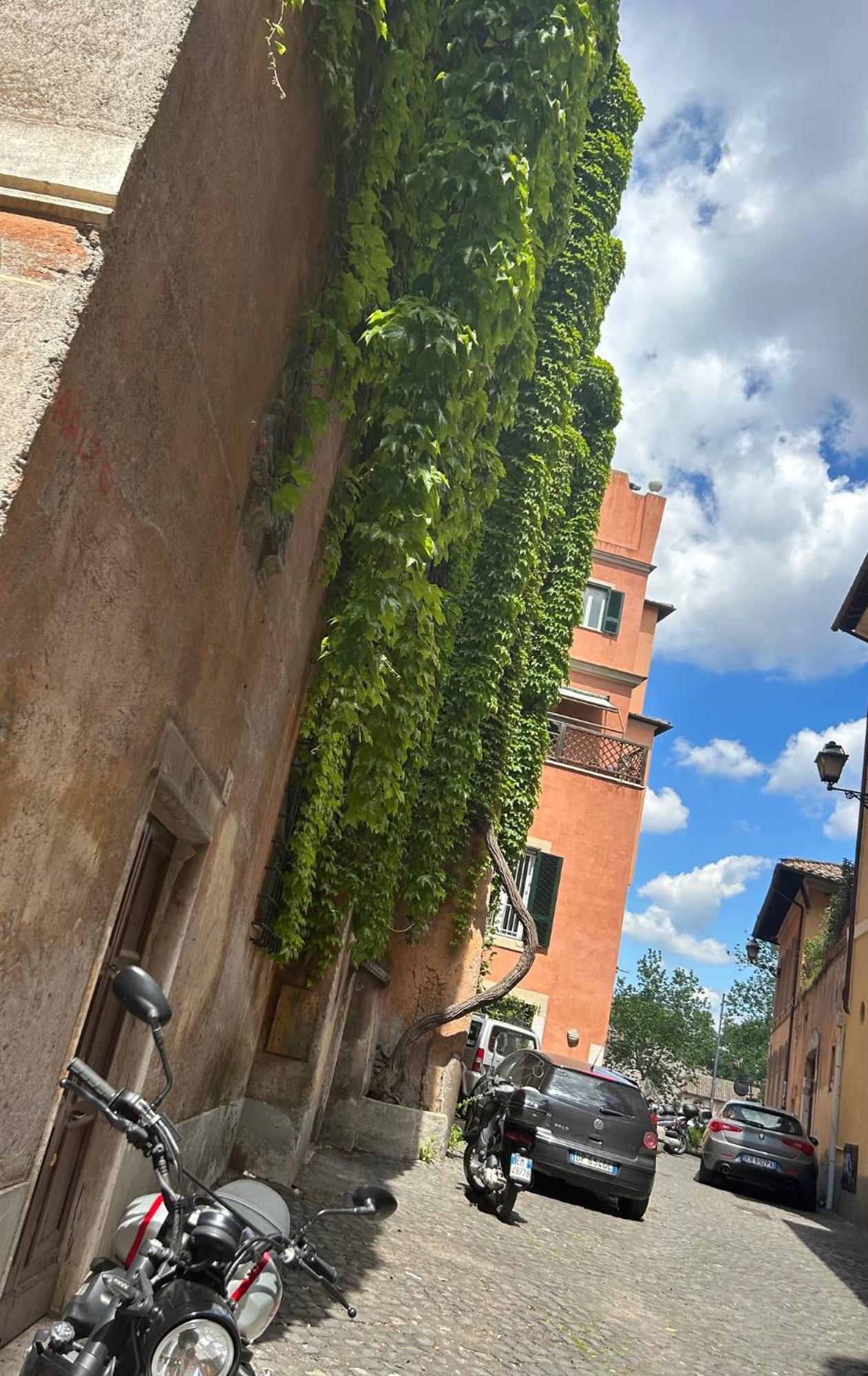 Garden House Trastevere Appartamento Roma