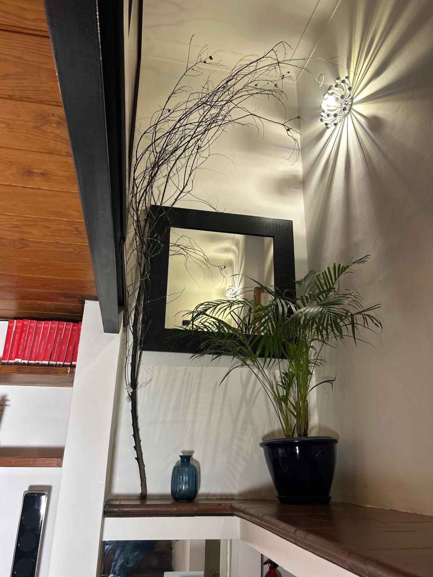 Appartamento Garden House Trastevere Roma